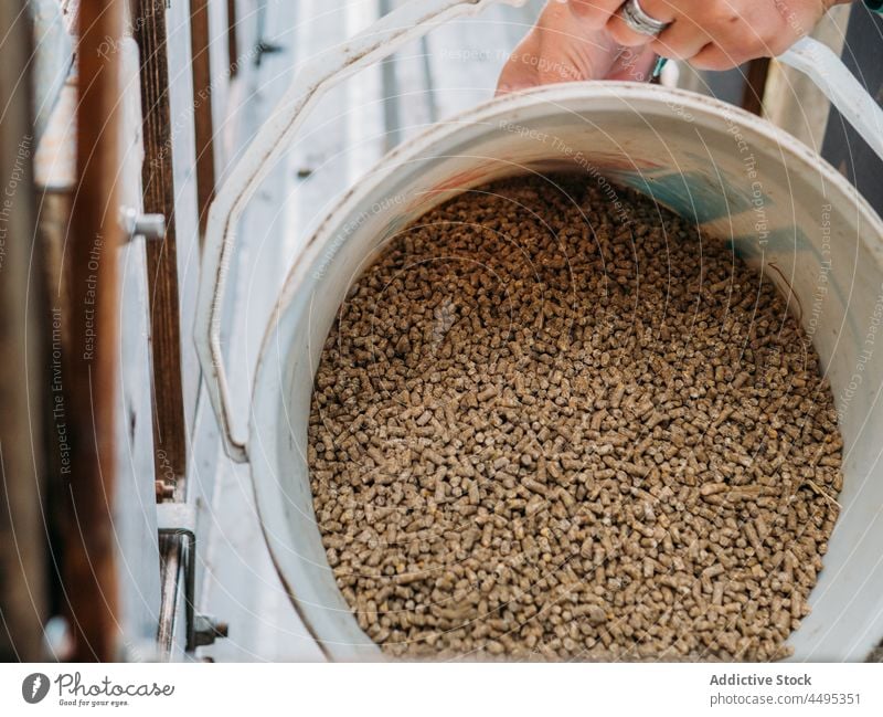 Anonymous male farmer filling up feeder for sheep flock in mountainous countryside man animal livestock care nature work casual agriculture valley rural