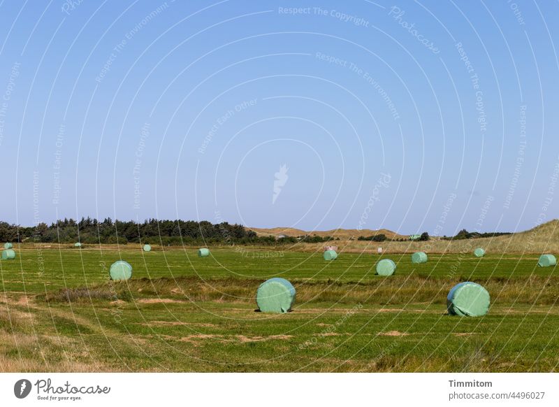 Field with straw roll points Agriculture Straw Roll of straw Green plastic Packaged background Forest dunes Horizon Denmark Sky Bale of straw Harvest Deserted