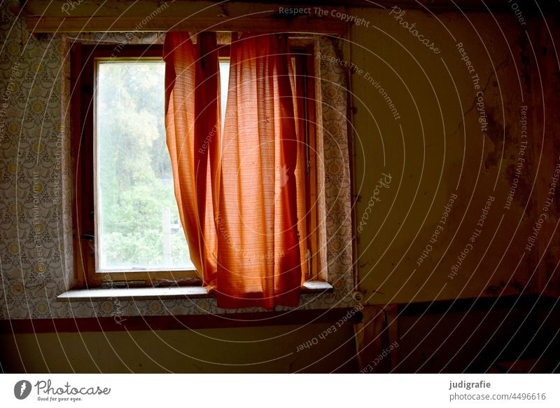 Window with curtain in abandoned bungalow in the forest Forest Window pane Drape Curtain Wallpaper forsake sb./sth. Old dilapidated
