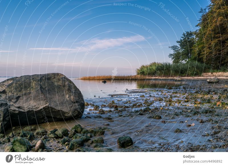 View of a stone on the beach, Greifswalder Bodden Beach Stone rock Water Sky trees Forest coast Ocean Nature Landscape Blue Clouds Tourism Waves Relaxation Rock