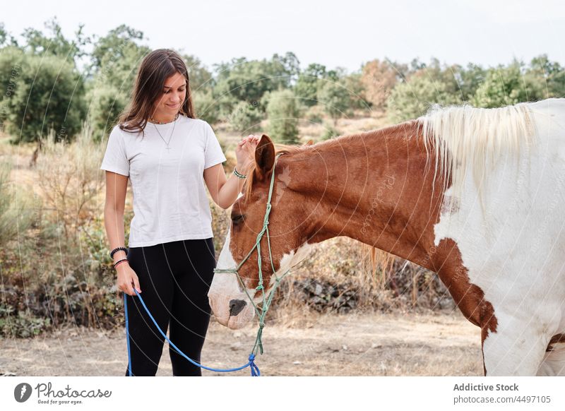Lady petting horse in ranch near barrier woman bridle animal stallion farm plant female young loyal piebald mammal paddock together casual purebred stand breed