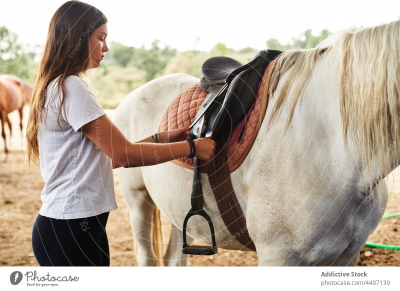 Female fixing saddle on horse in ranch woman serious animal farm stallion equestrian female young countryside equine breed lifestyle sand ground paddock