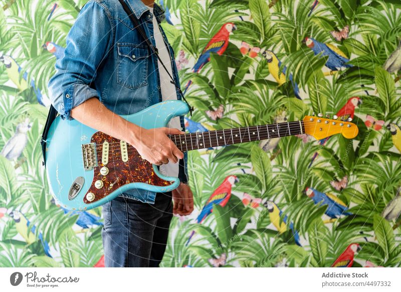Anonymous guitarist against vivid paintings on wall man musician art perform green artwork plant parrot hobby colorful male focus sound draw vibrant artist