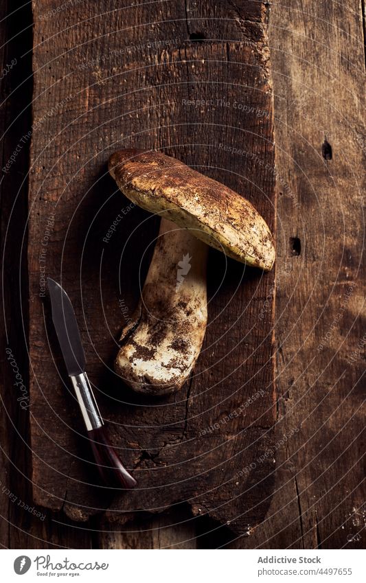 Boletus edulis on rustic wooden cutting board boletus edulis mushroom raw fungus cook specie organic food culinary knife natural edible yummy timber delicious