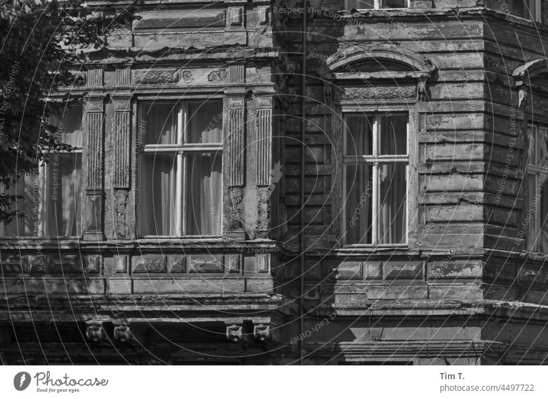an old facade in Berlin Window Facade Window transom and mullion House (Residential Structure) Deserted Exterior shot Building Wall (building) Wall (barrier)