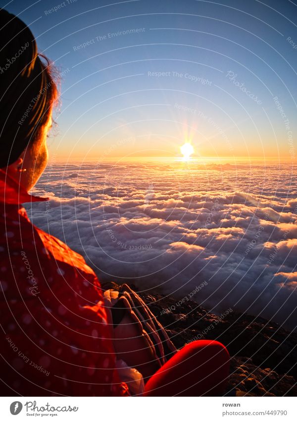 Sunset above the clouds Human being Feminine Young woman Youth (Young adults) Woman Adults 1 Infinity Clouds Cloud cover Sky Horizon Vantage point Meditative