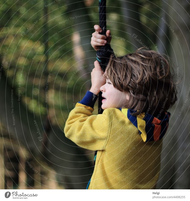 Portrait of a child holding on to a rope swing in the forest and looking to the side Human being Child Schoolchild Tree Forest Swing Rope Rope swing Playing Joy