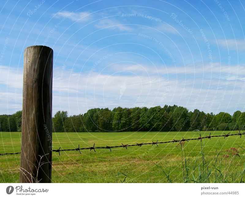 Looking over the fence Barbed wire Fence Meadow Clouds Column Pole Spring Green White Forest Clump of trees Tree Grass Blade of grass Sky Blue Pasture