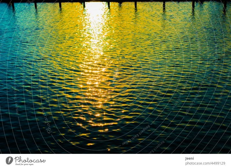 Colorful glittering sunset in the water Water Surface of water Wet sparkle Colour colourful Reflection reflection Waves Water reflection Extreme Excessive