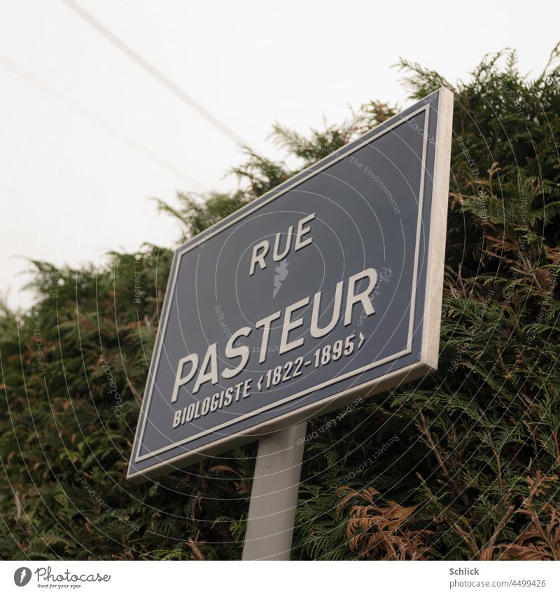Street sign with text rue Pasteur Biologiste 1822-1895 street sign Text France Blue Worm's-eye view Hedge year of birth Year of death New as good as new French