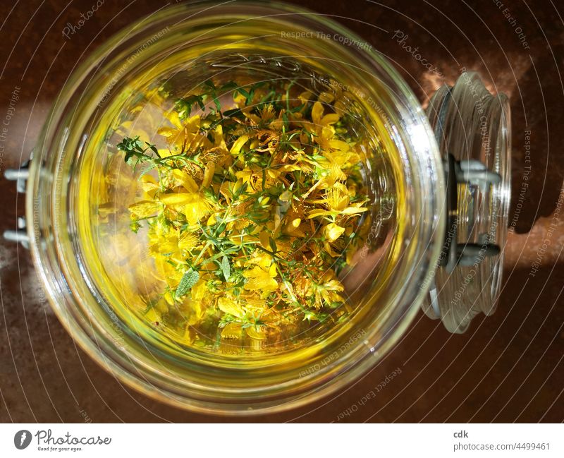 golden yellow | St. John's wort | sun in the glass Preserving jar Glass St. Johns Wort Yellow lid receptacle Summer brew red oil do it oneself Self-made Nature