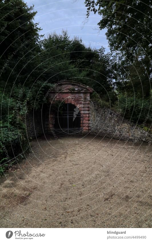 Dark place in the woods Tunnel Entrance Old Historic locked door Iron Stone Forest Storage Closed Deserted Metal Sand Wall (barrier) trees Bushes Creepy Fear