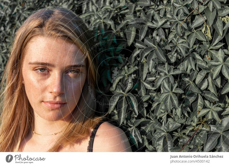 Close-up portrait of a blonde girl with freckles on a background of leaves  - a Royalty Free Stock Photo from Photocase