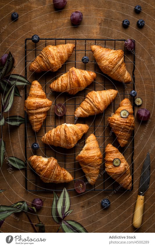 Fresh croissants placed on metal grate food tasty sweet delicious pastry fresh baked dessert yummy product appetizing bread nutrition eat bakery healthy