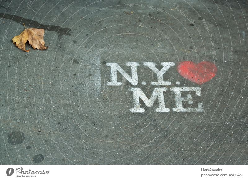assertion Autumn New York City Sign Characters Graffiti Gray Red White Self-confident Sidewalk Love THESIS Heart Spray Leaf Autumn leaves Colour photo