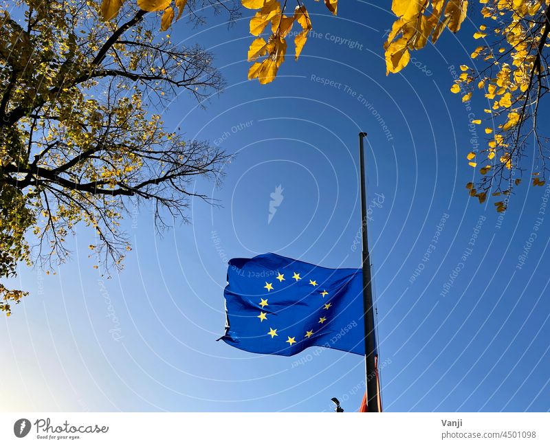 Europe, Flag, Cohesion Attachment Politics and state Blue European flag Colour photo Day Exterior shot European Union Wind Flagpole Sky Deserted EU Blow Sign