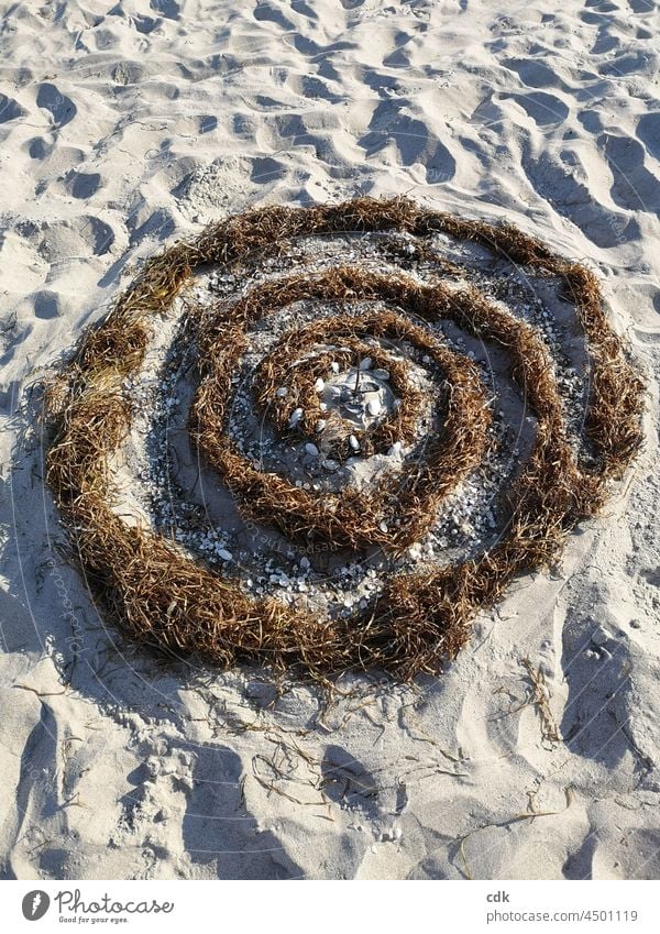 Beach Spiral | Mandala | Land Art landart Nature Seaweed Algae seashells Sand recreational activity holidays vacation Baltic Sea Ocean Sun Circle Round