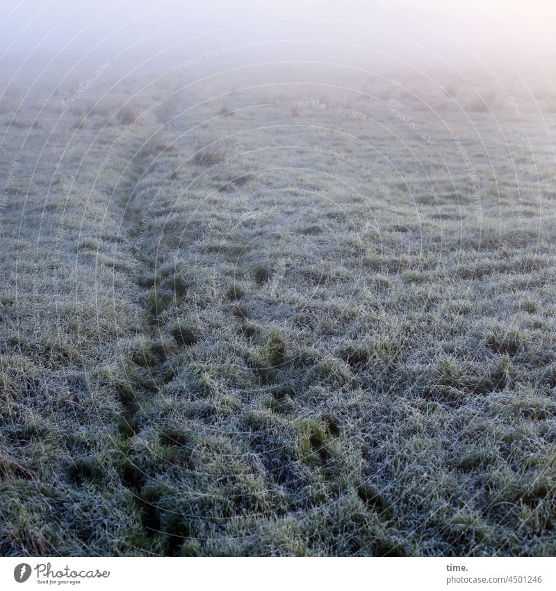 UT Teufelsmoor | Lifelines .152 Grass Meadow Hoar frost off Uneven Dawn Horizon Fog slowly trace Line Imprint Frost Haze Cold chill