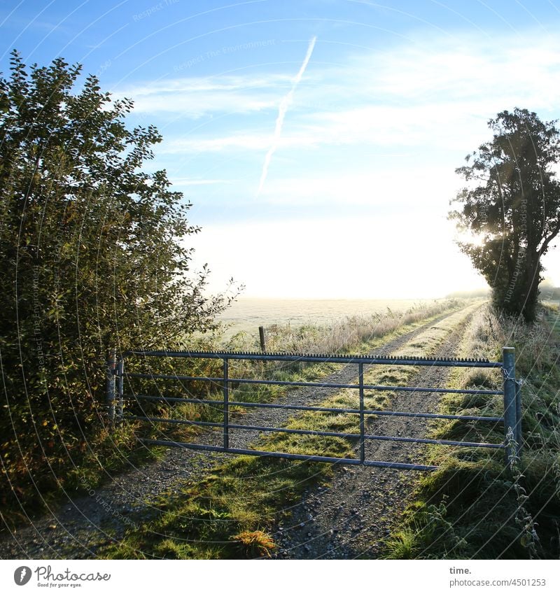 UT Teufelsmoor | behind it the paradise Gate Fence off Back-light Tree bush Bog Sky Clouds in the morning early in the morning Bright clear Cold chill Grass
