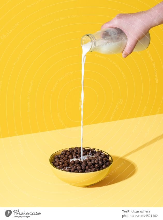 Pouring milk into the cereal bowl. Bowl of chocolate cereals and