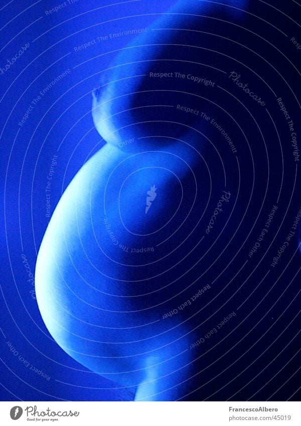 belly in blue Pregnant Woman Naked Eroticism Fat Mother Stomach Blue Chest