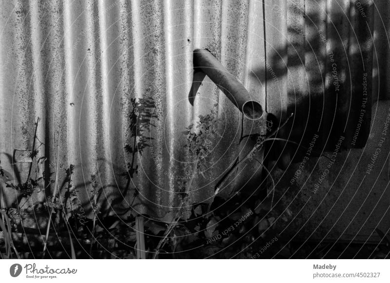 Free-standing sewage pipe from the kitchen of a rickety old house with corrugated iron facade in summer sunshine in the village of Maksudiye near Adapazari in Sakarya province, Turkey, photographed in neo-realist black and white