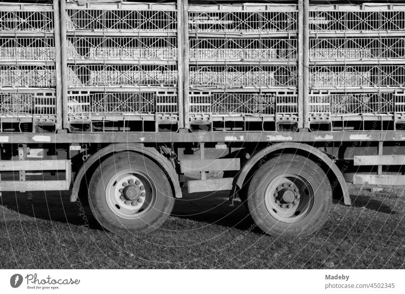 Tandem trailer with twin tires of a large cattle truck for poultry in the village of Maksudiye near Adapazari in the province of Sakarya in Turkey, photographed in neo-realistic black and white