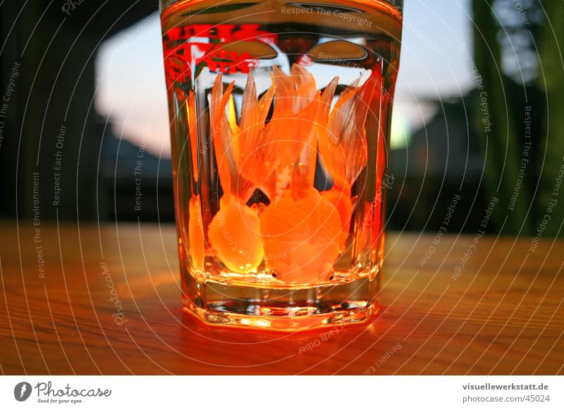 fish cocktail Goldfish Physics Delicious Light Rubber Photographic technology Water Glass Warmth Orange Nutrition fun