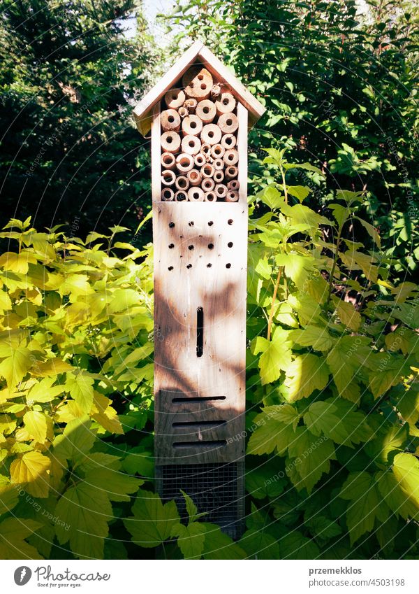 Insect hotel, wooden house in green garden giving protection and nesting aid to bees and insects biological bug carrying copy space ecological ecology gardening