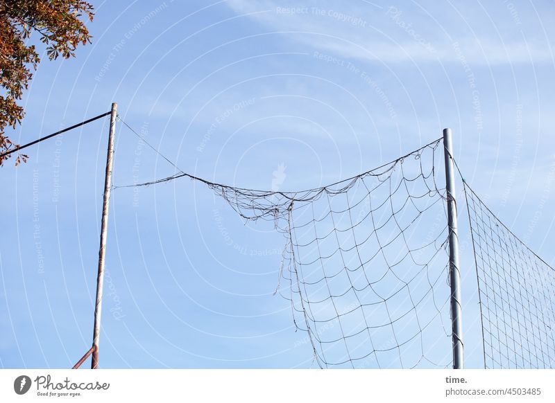 Catch net (human style) Net Catching net Broken Sporting grounds Safety Protection Tree Sky Net pole Pattern structure Plastic
