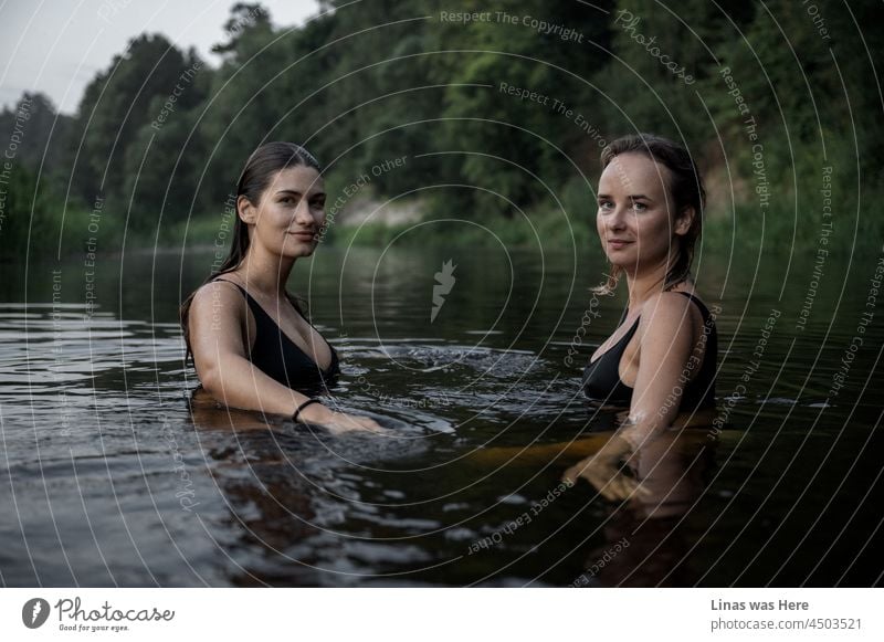 These two gorgeous creatures are feeling comfy in the dark water. Summer evening with gorgeous girls in a river. Beautiful faces are looking straight into the camera. Black swimsuits are fitting well. Wild girls in wild nature.