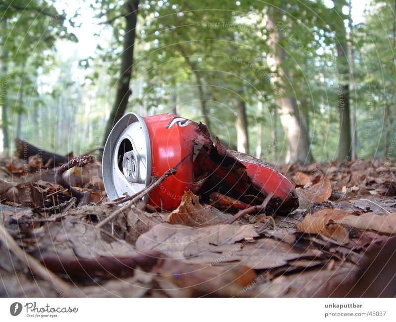 dilapidated Broken Forest Tin Red Woodground Cola Obscure