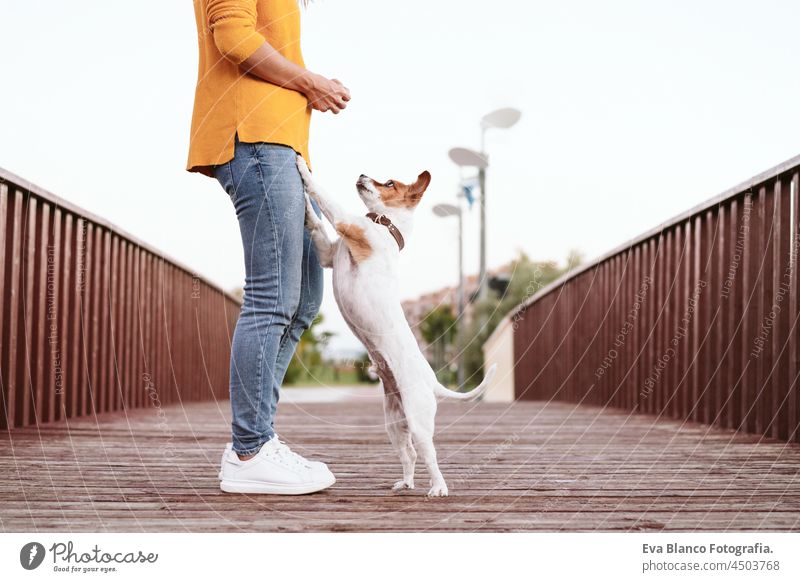 unrecognizable woman having fun with jack russell dog in park,woman and pet standing on wooden bridge during autumn season. Pets and love concept happy kiss