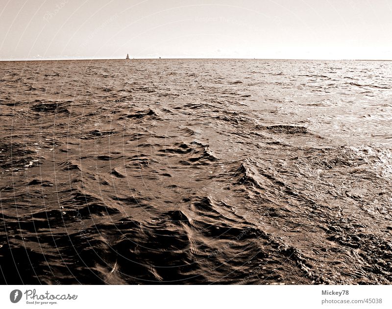 Black Water Horizon Ocean Baltic Sea Oil Dirty