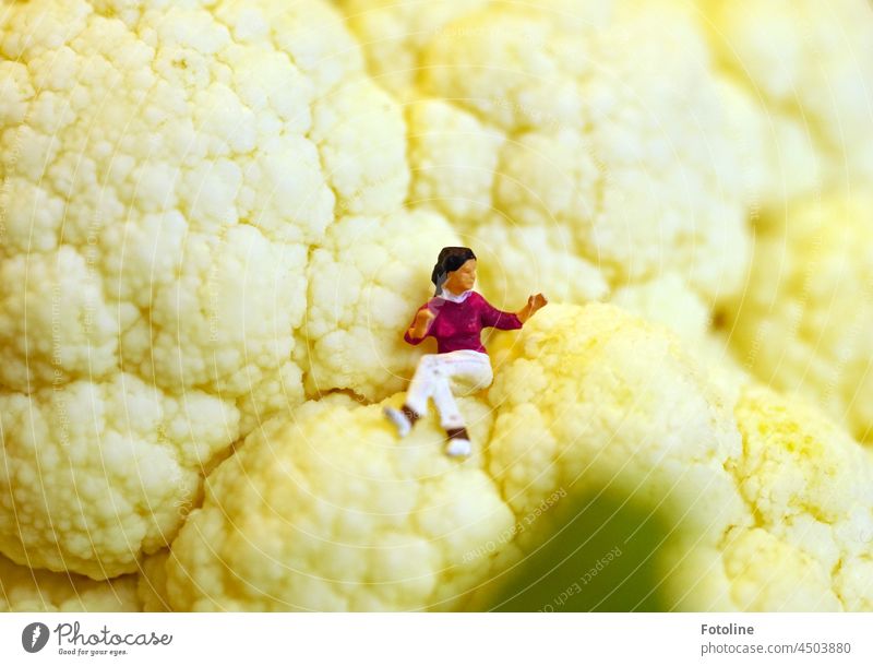 Relaxed, a tiny lady sits on the florets of a cauliflower and enjoys the view. Woman Figure Doll White Toys Colour photo Decoration Interior shot Playing Small