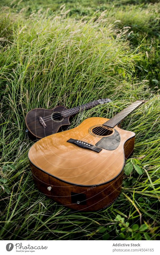 Acoustic guitar and ukulele placed on grass acoustic instrument music string nature green instrumental natural practice flora field grow countryside hobby