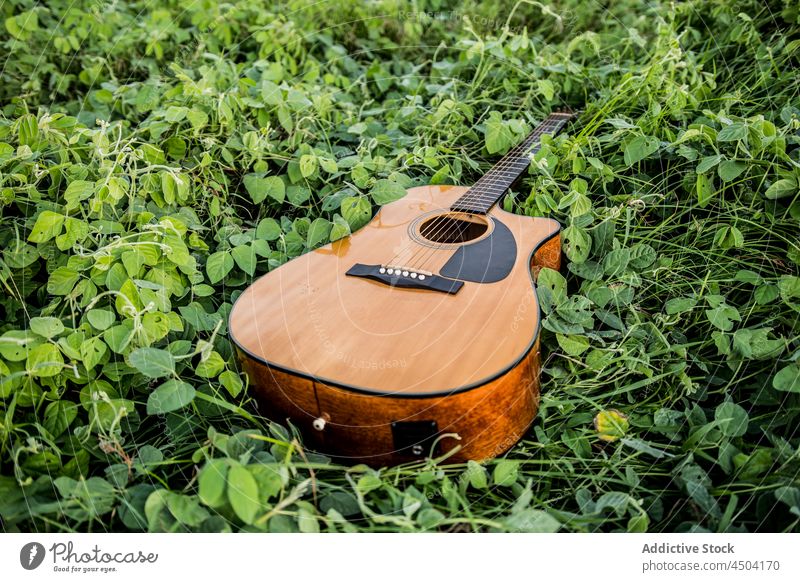 Acoustic guitar placed on green grass acoustic nature instrument music plant countryside string flora field instrumental botany play park natural fresh