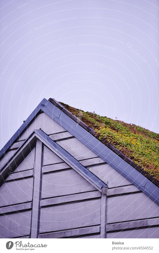 Roof with grass on it roof house green eco ecology preservation environment plant plants home