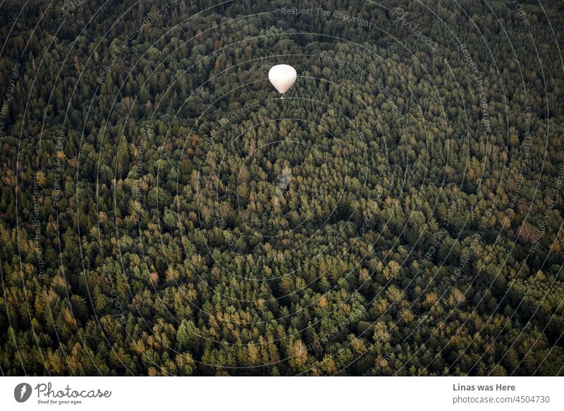Lithuania is a beautiful country. Full of green woods that you can see more clearly from a hot air balloon. Picturesque autumn landscape from the sky and a fellow balloon is exploring the beauty of Lithuanian nature.