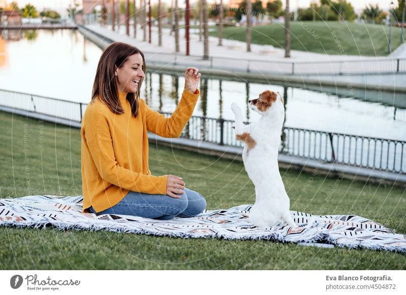 woman having fun with jack russell dog in park, sitting on blanket during autumn season. Woman giving treats to dog. Pets and love concept food selfie
