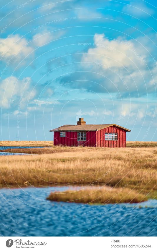 Red house at the Limfjord in Denmark Swede North Sea coast Water Ocean Lake Pond Wood House (Residential Structure) Hut refuge Environment Nature Landscape Sky