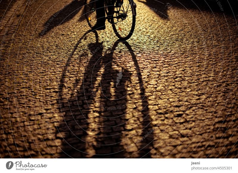 Long shadow of a bicycle in the evening light * 600 * Shadow Shadow play shadow cast Bicycle Cycling cyclist Wheel cyclists Evening Dusk Sports Street