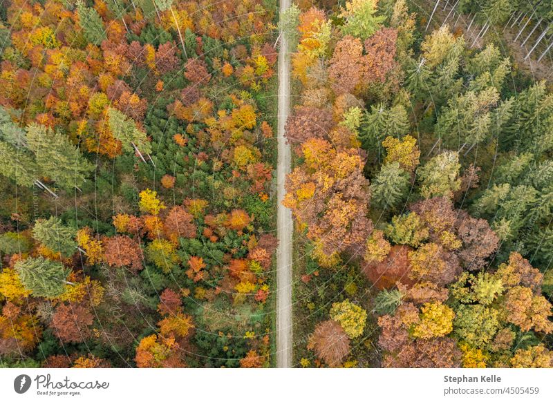 Top down view at a colorful part of an autumn forest with a countryside path in the centre. fall nature aerial drone topdown above season landscape yellow park