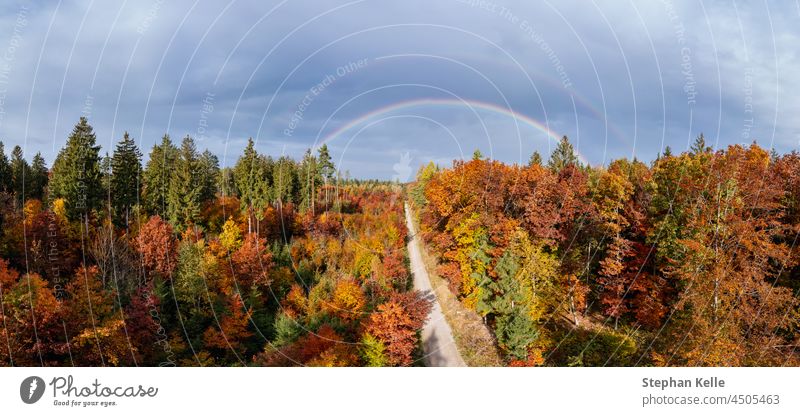 Stunning rainbow over colorful trees in autumn season, concept for beautiful nature on a wonderful day in autumn. Autumn Tree foliage Rainbow panoramic Antenna