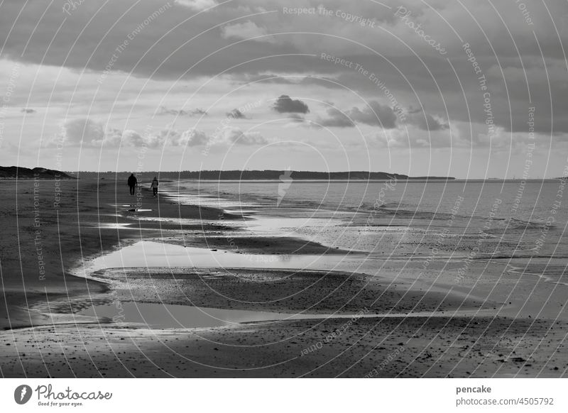 la mer Ocean North Sea black-white To go for a walk Couple Low tide reflection Clouds Far-off places Beach Sky coast Tide Relaxation Vacation & Travel Water