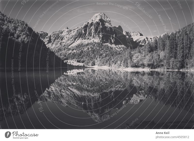 Spiegelung eines Bergmassivs in einem Bergsee See Berge Natur Landschaft sommer Schwarzweißfoto