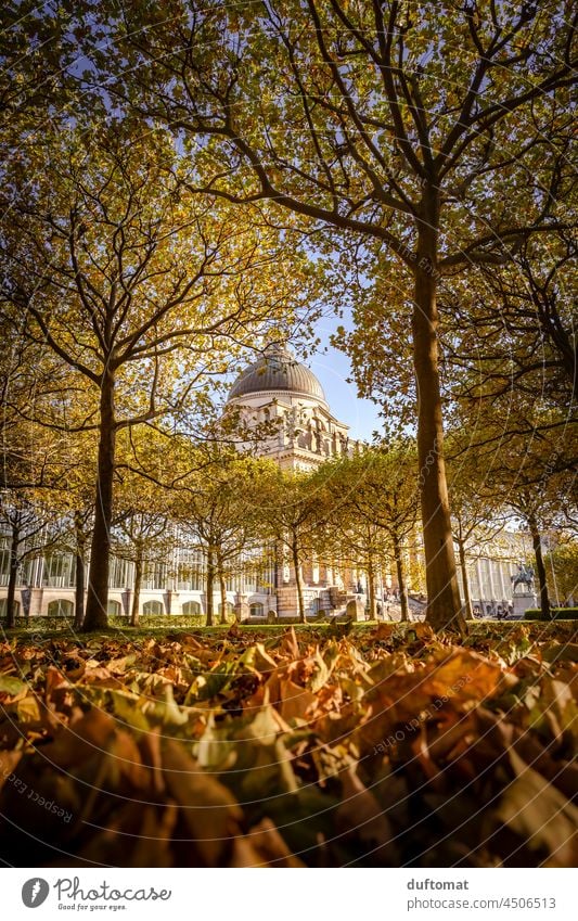 State Chancellery in Munich framed by autumnal foliage Autumn tuft trees Tree state chancellery Nature Symmetry symmetric naturally natural symmetry
