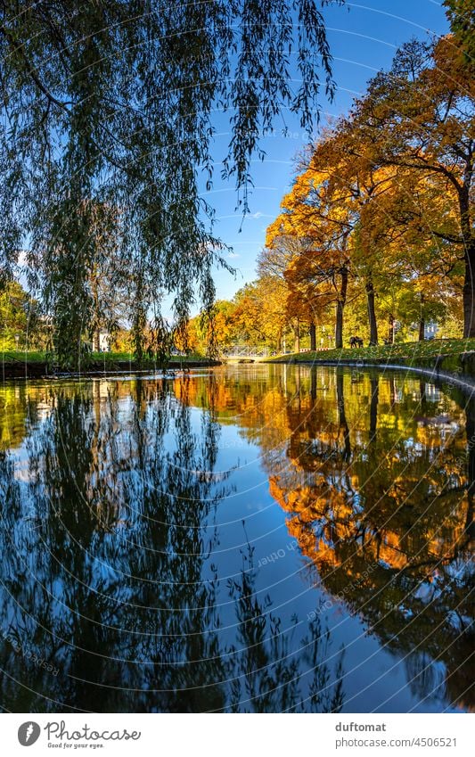 Autumn reflection of trees in water Water Reflection double Tree Lake Calm foliage discolour change seasonal Nature Blue Forest Autumn leaves Tourism Munich