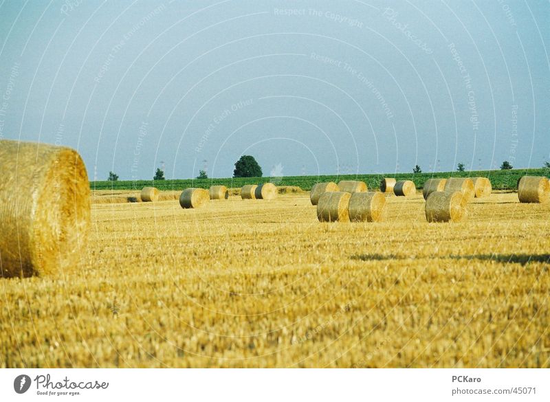 auf´m Country Bale of straw Field Grass Europe Americas Sky