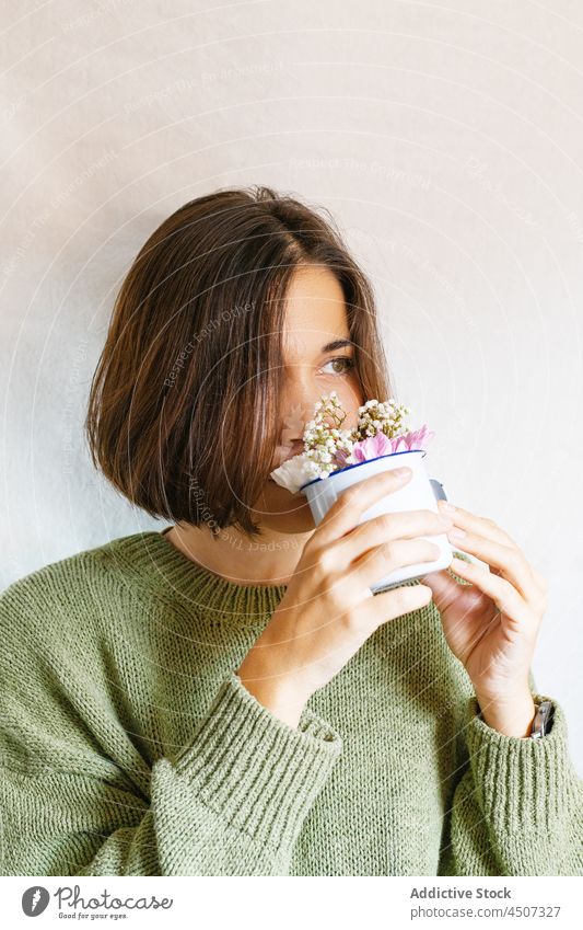 Woman smelling flowers on gray wall woman flowerpot bloom shy female tender gentle portrait plant fresh lady blossom young lush knitted fragrant floral fragile